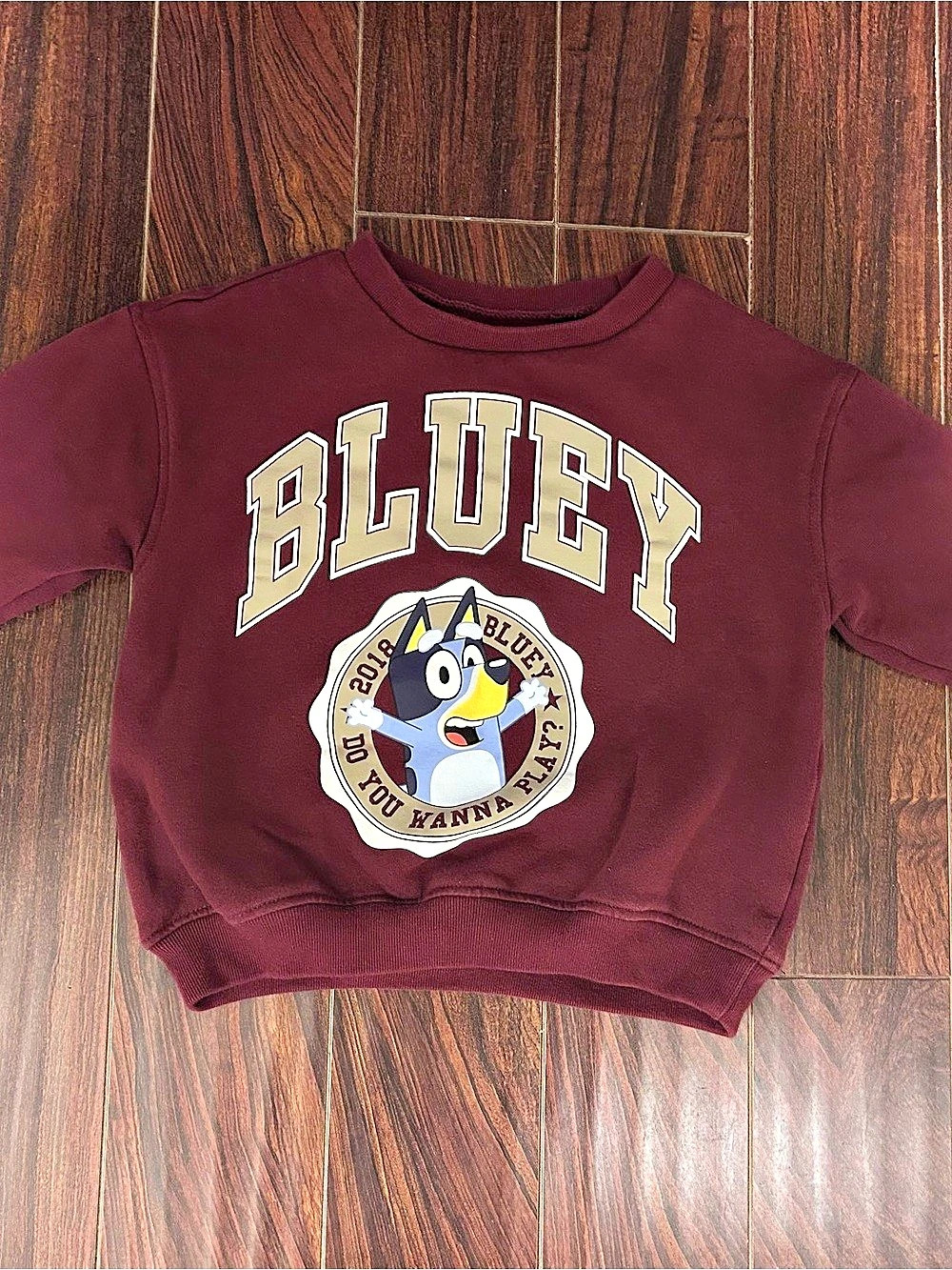 Gap Kids Bluey Graphic Sweatshirt in Burgundy